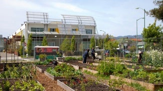 Public garden with plots